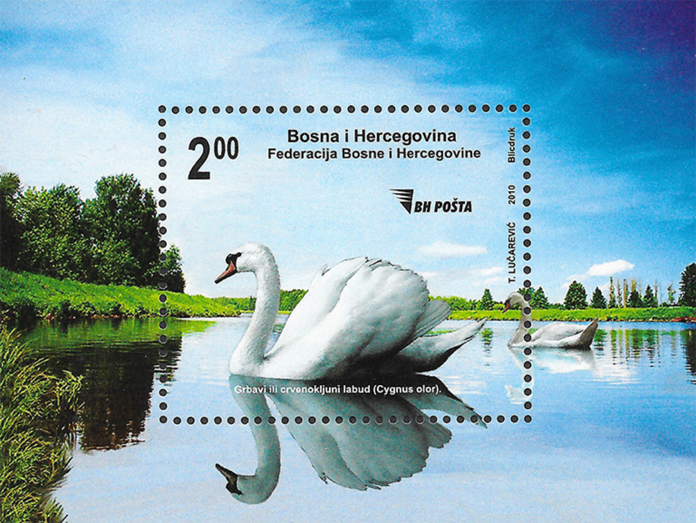 Bosnien-Herzegowina 2010 ** - Flora und Fauna Bosnien-Herzegowina 2010 ** - Flora und Fauna