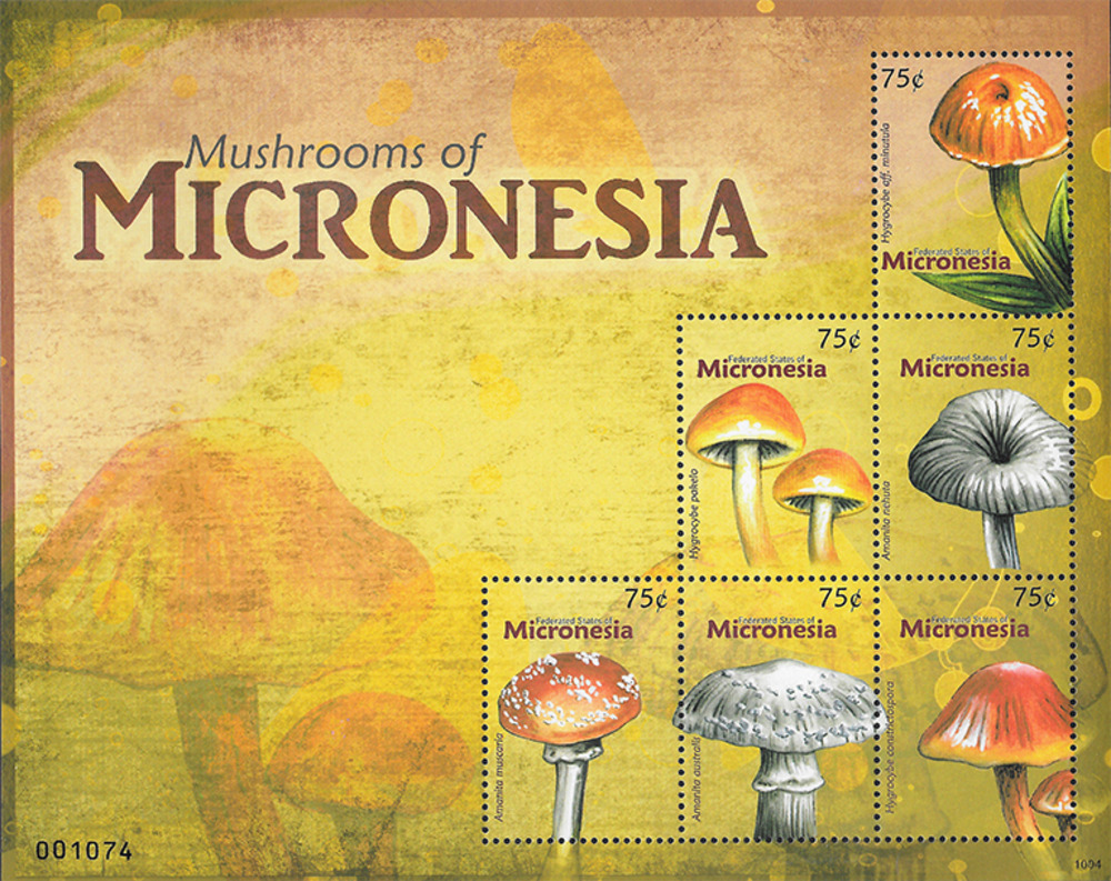 Mikronesien 2010 ** -  Pilze