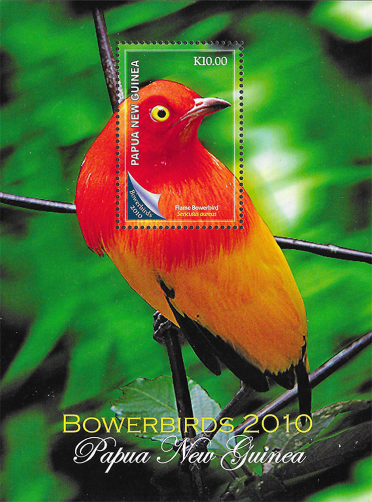 Papua-Neuguinea 2010 ** - Laubenvögel Papua-Neuguinea 2010 ** - Laubenvögel