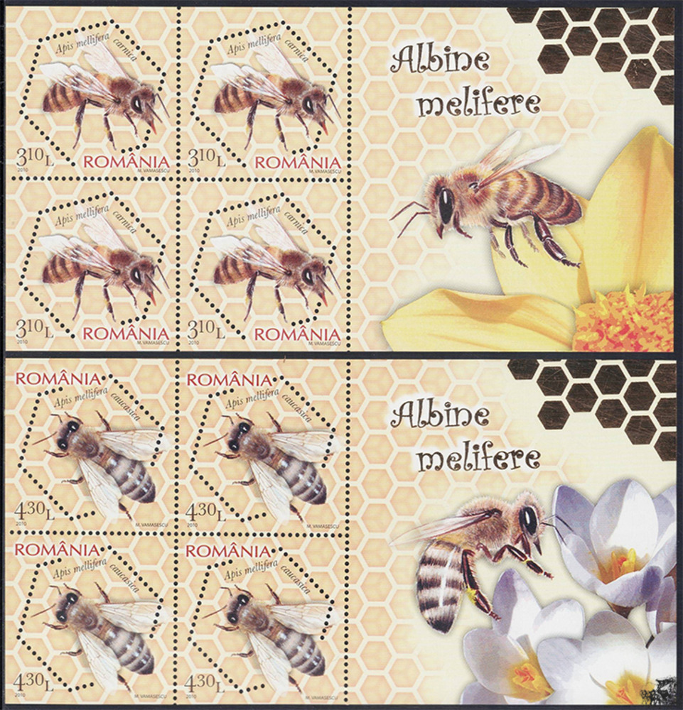 Rumänien 2010 ** - Rassen der Westlichen Honigbiene
