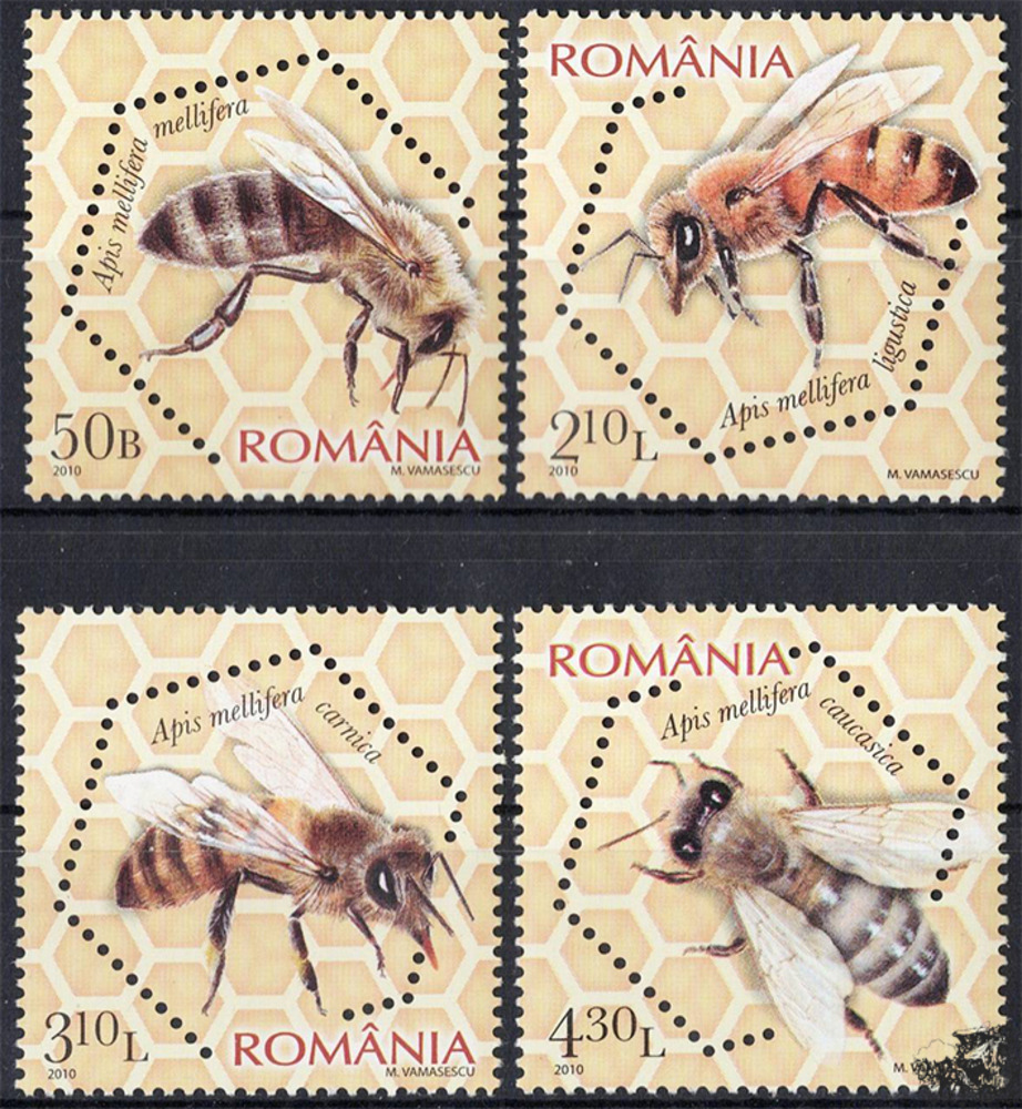 Rumänien 2010 ** - Rassen der Westlichen Honigbiene