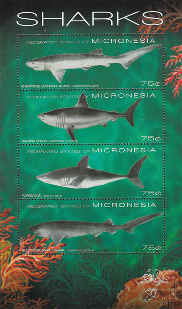 Mikronesien 2011 ** - Haie