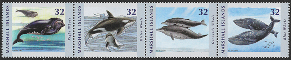 Marshall Inseln 2012 ** - Wale