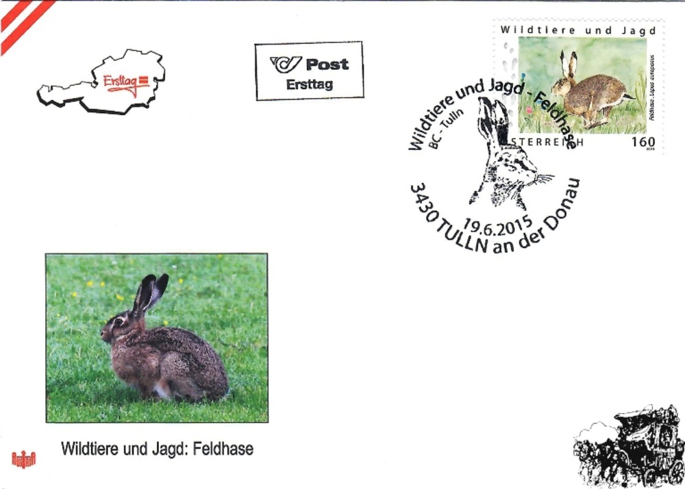 Österreich FDC 2015 1,60 € - 'Feldhase'