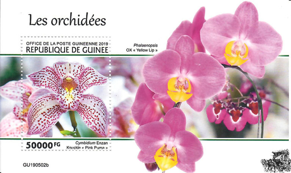 Guinea ** 2019 - Orchideen