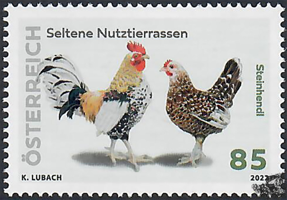Österreich ** 2022 - € 0,85 - Seltene Nutztiere - Steinhendl Österreich ** 2022 - € 0,85 - Seltene Nutztiere - Steinhendl