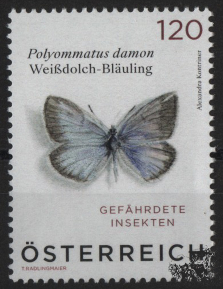 Österreich 2025 ** - € 1,20 SM Weißdolch-Bläuling - Polyommatus damon
