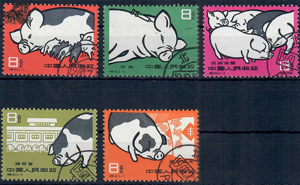 China 1960 o - Entwicklung der Schweinezucht China 1960 o - Entwicklung der Schweinezucht