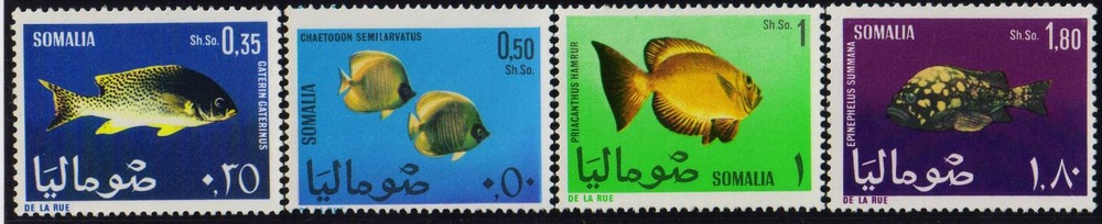 Fish - Somalia