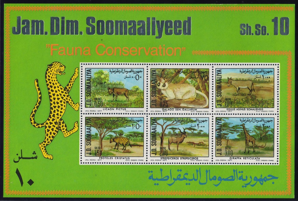 Naturschutz - Somalia Naturschutz - Somalia
