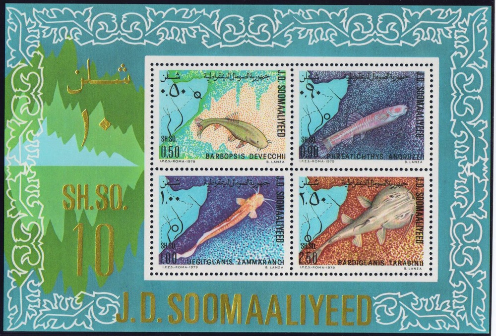 Fische - Somalia Fische - Somalia