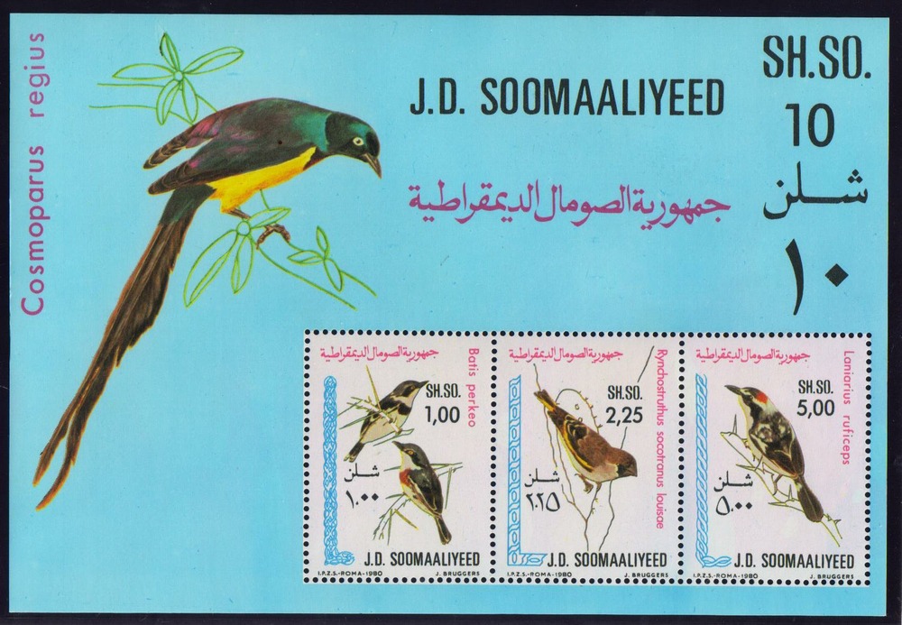Vögel - Somalia