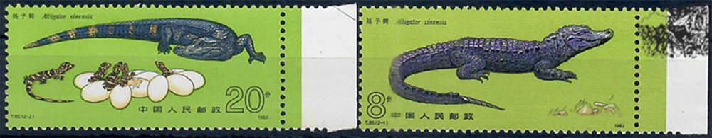 China 1983 ** - China-Alligator