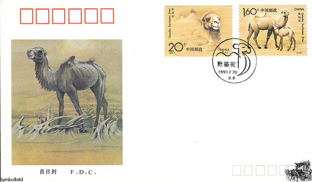 China 1993 FDC - Wildkamele