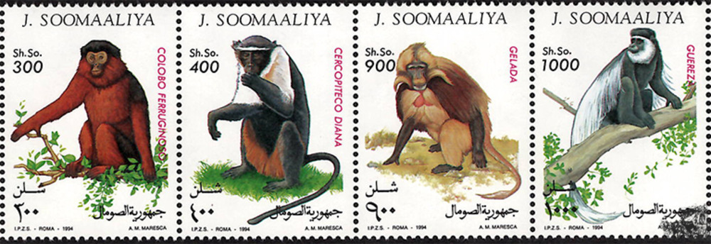 Somalia 1994 ** - Affen