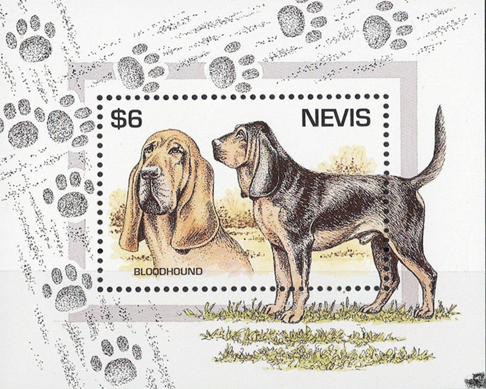 Nevis 1995 ** - Bluthund
