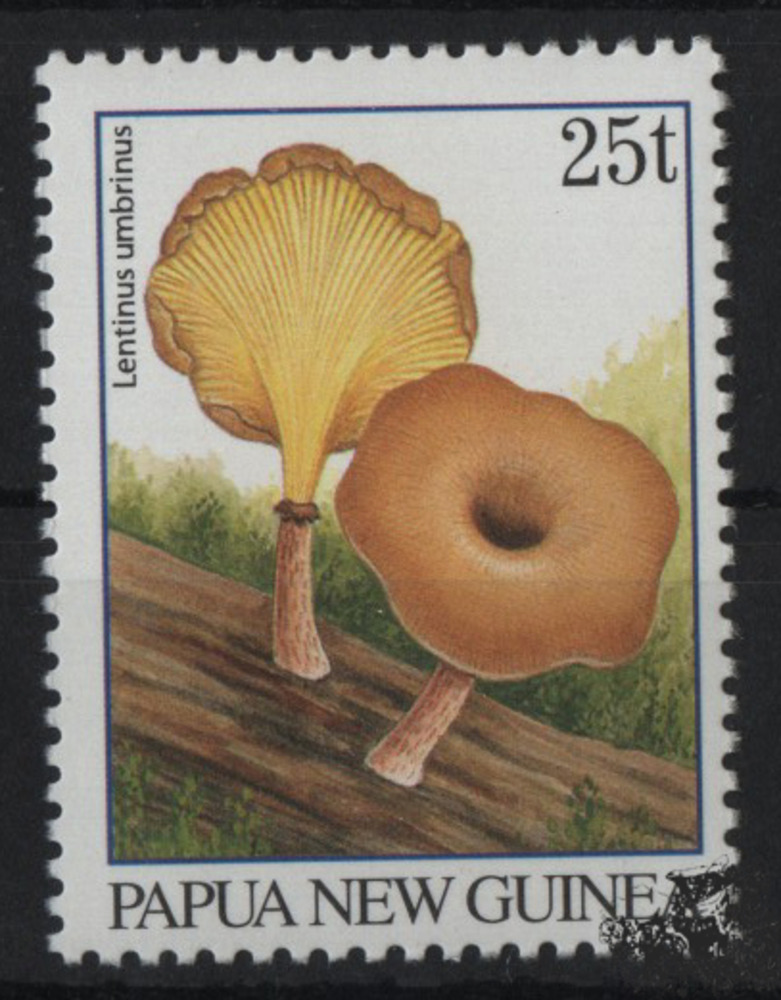 Papua-Neuguinea - Nr. 771 ** Pilze