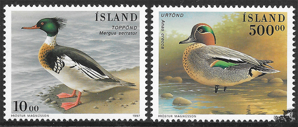 Island 1997 ** - Vögel 