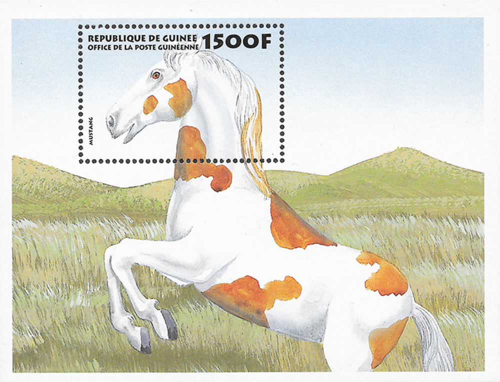 Guinea 1999 ** - Pferde Guinea 1999 ** - Pferde