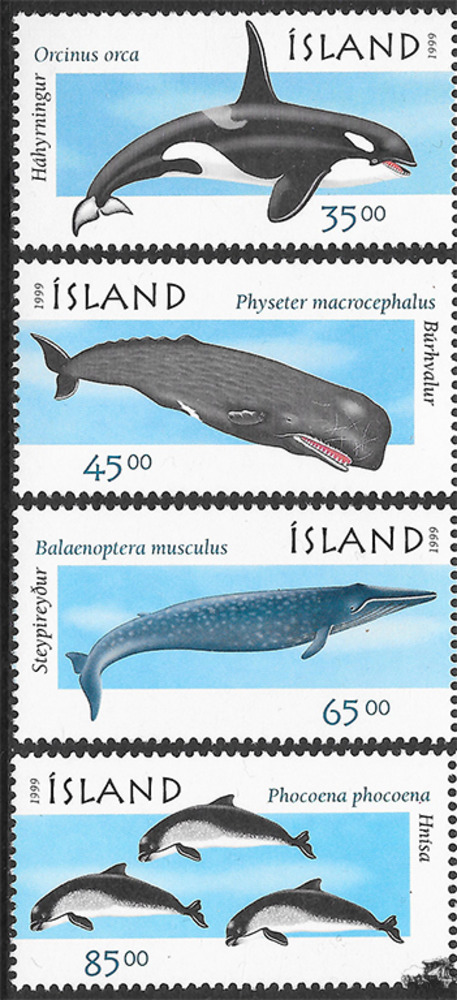 Island 1999 ** - Wale und Delphine (I)