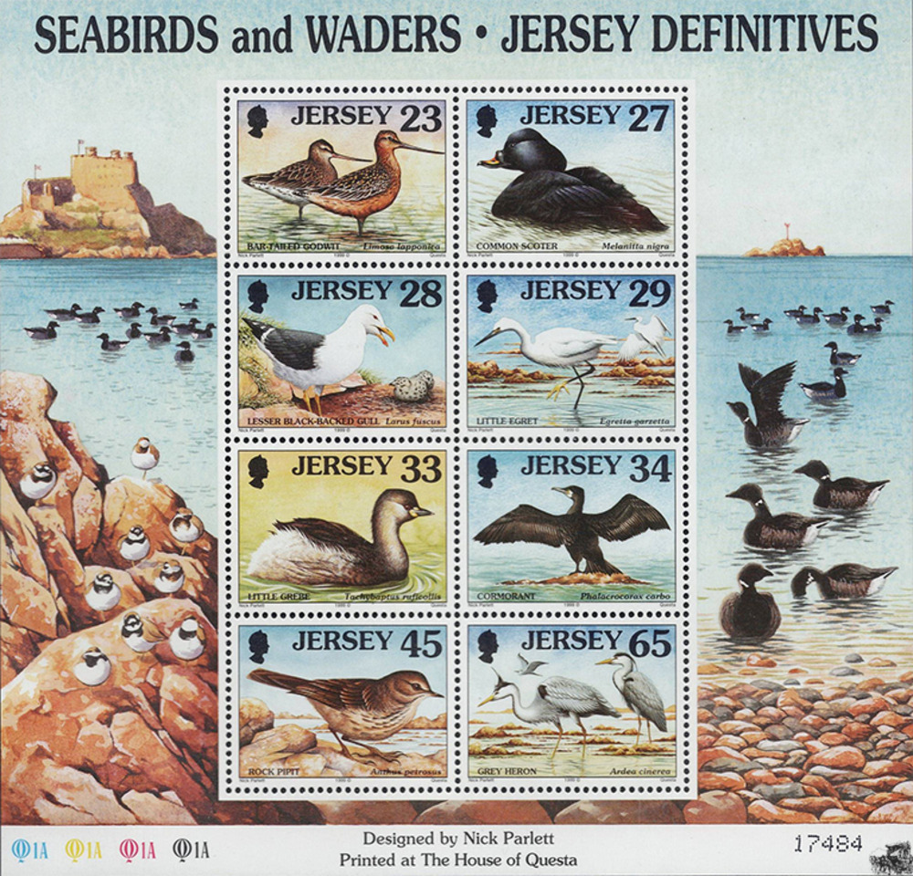 Jersey 1999 ** - See- und Watvögel, Pfuhlschnepfe