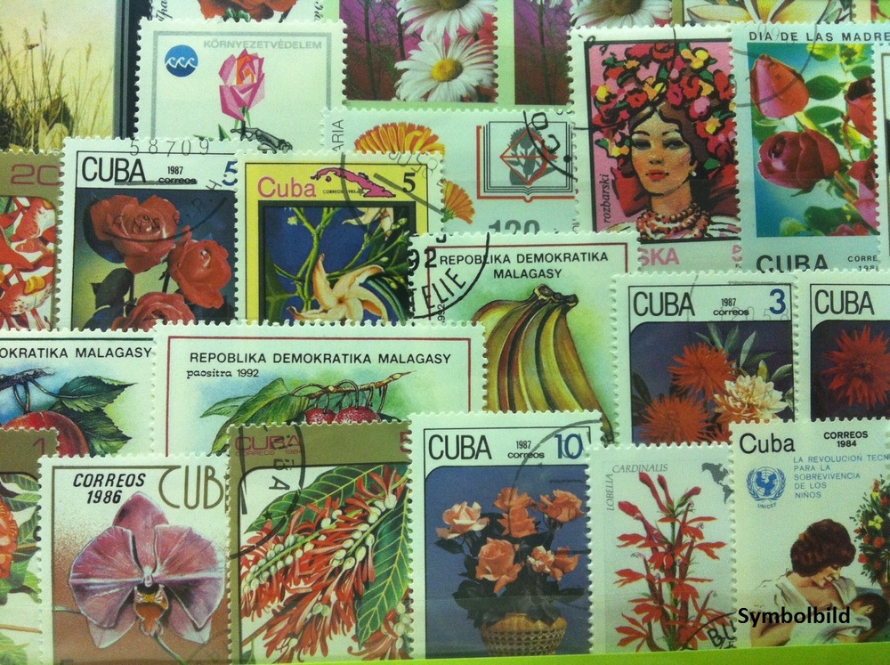 100 Motive - Blumen & Pflanzen 100 Motive - Blumen & Pflanzen