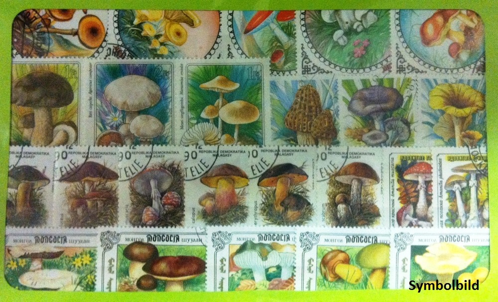 100 Motive - Pilze 100 Motive - Pilze