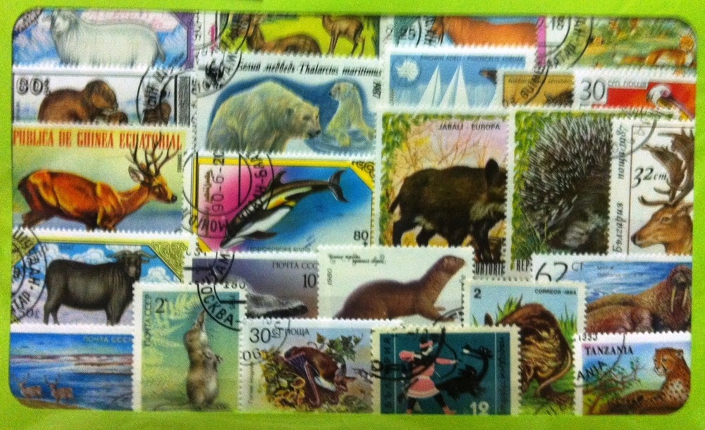 50 Motive - Tiere 50 Motive - Tiere