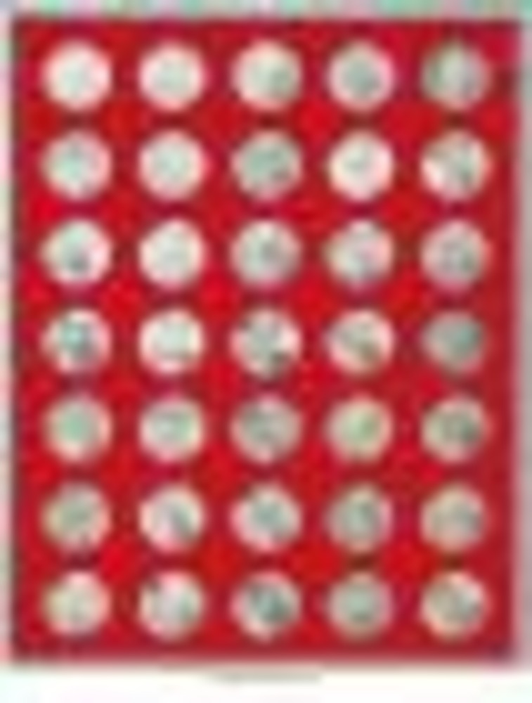 Münzenbox mit 35 runden Vertiefungen für Münzen mit Ø 30 mm, Standard