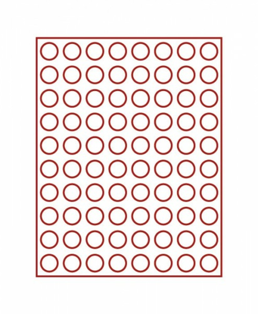 Münzenbox mit 80 runden Vertiefungen für Münzen mit Ø 22,25 mm, Rauchglas 