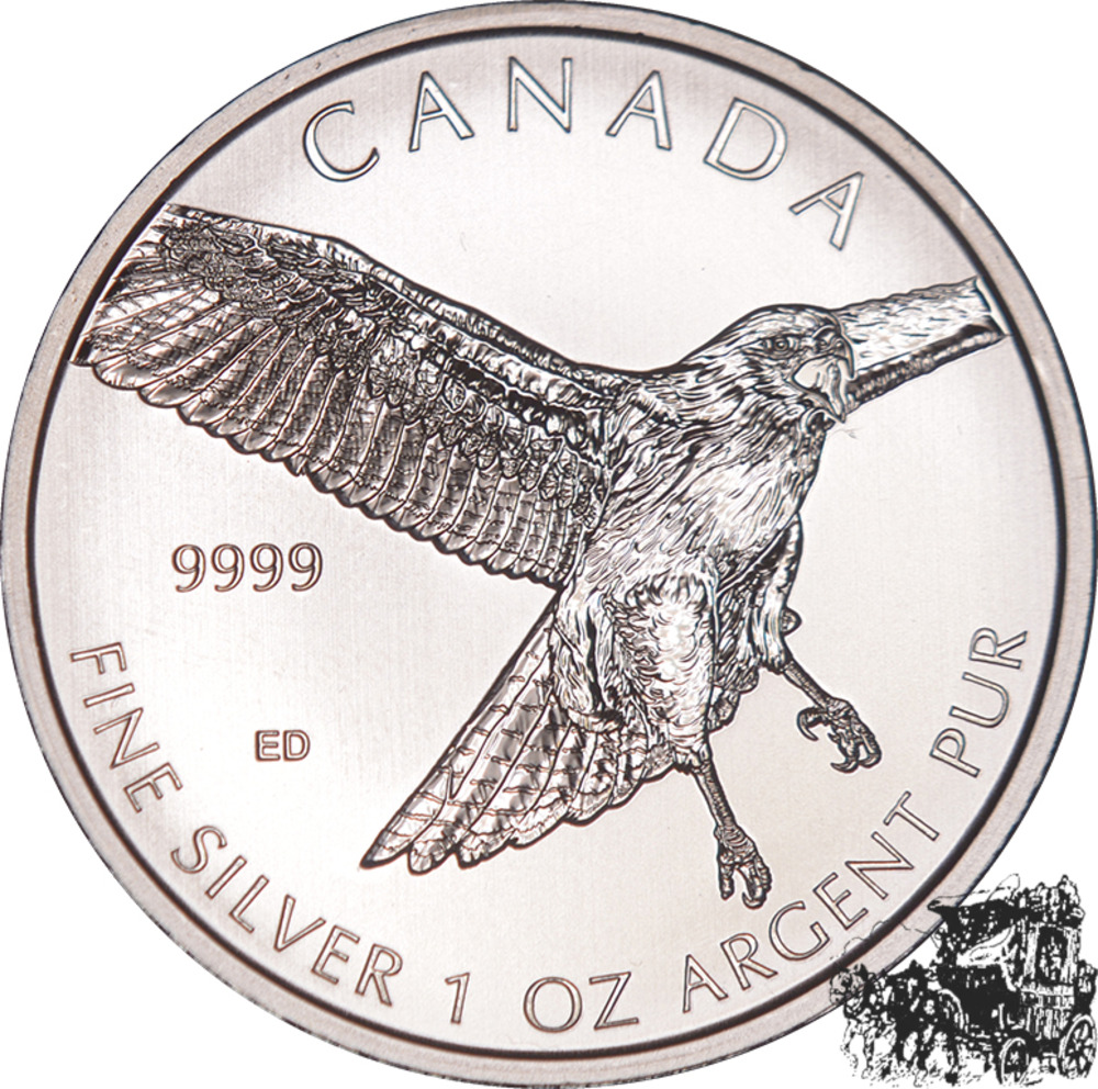 5 Dollar 2015 - Rotschwanzbussard 5 Dollar 2015 - Rotschwanzbussard