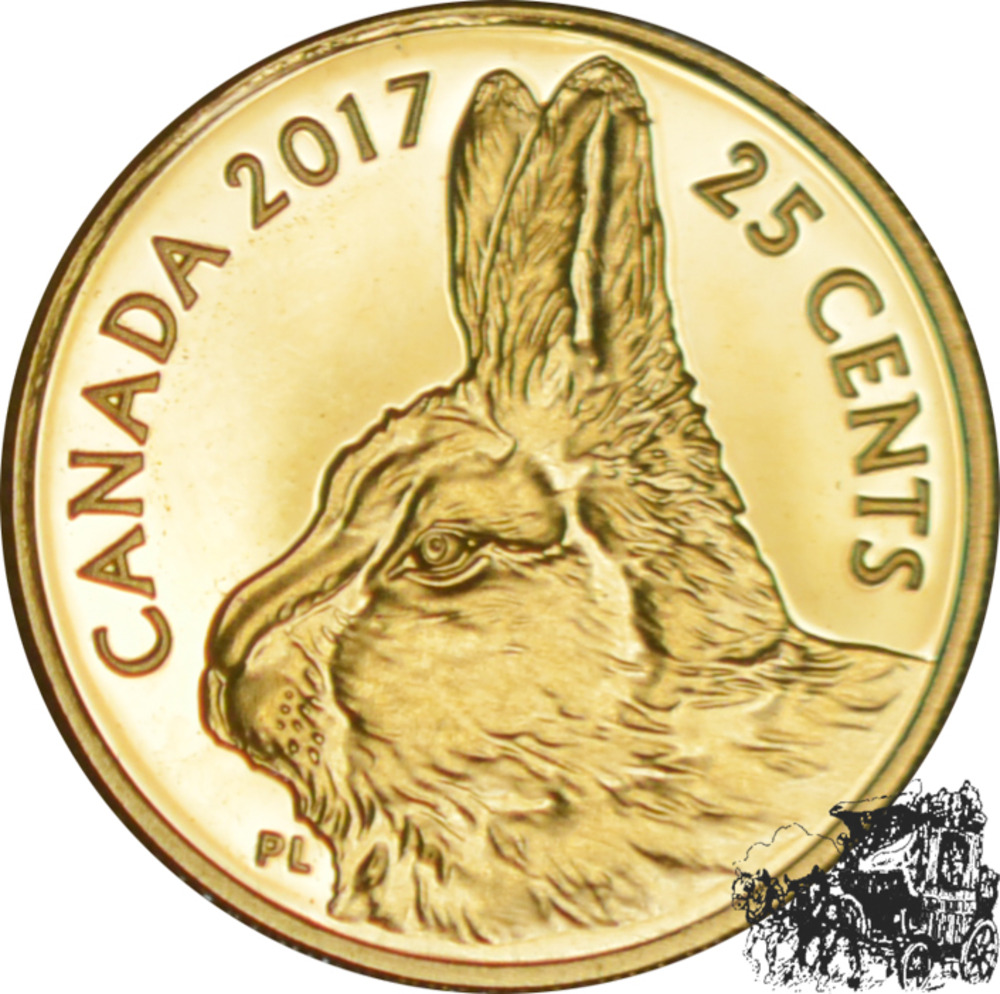 25 Cent 2017 - Hase - Kanada