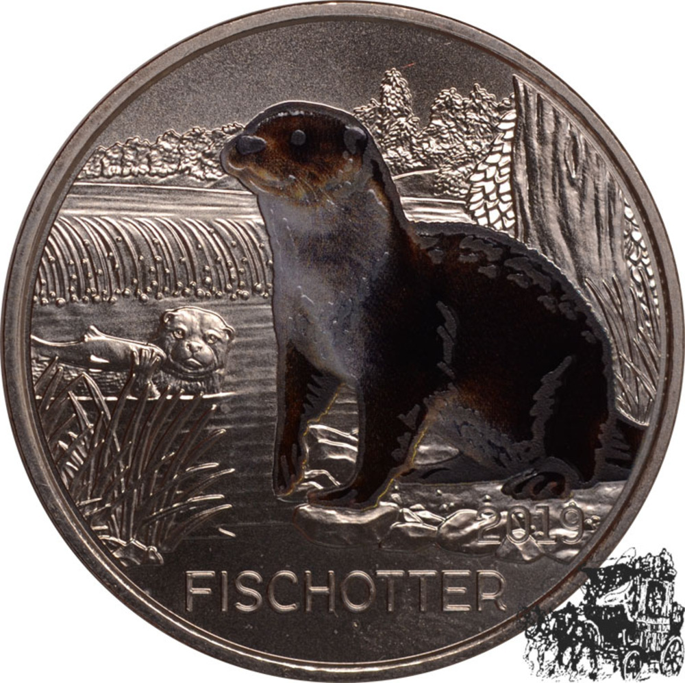 3 Euro 2019 - Fischotter 3 Euro 2019 - Fischotter