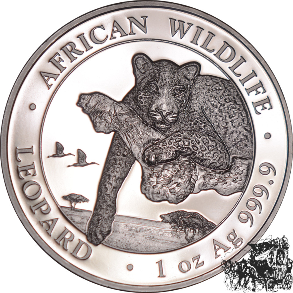 100 Shillings 2020 - Leopard, Somalia 