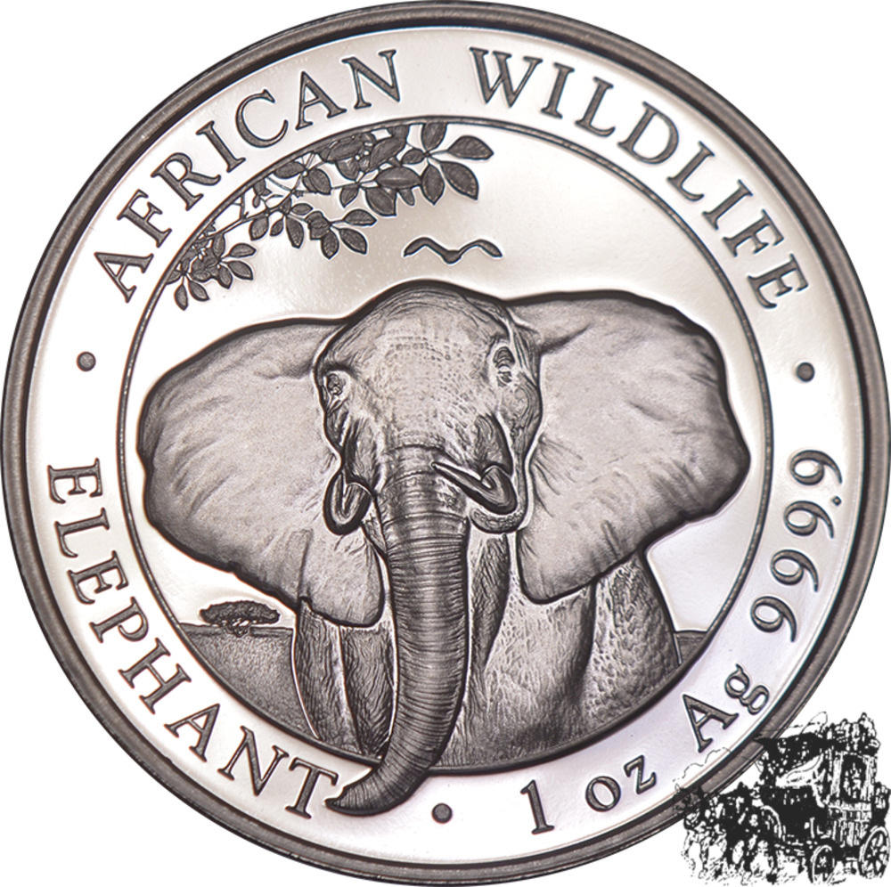 100 Shillings 2021 - Elefant - Somalia 