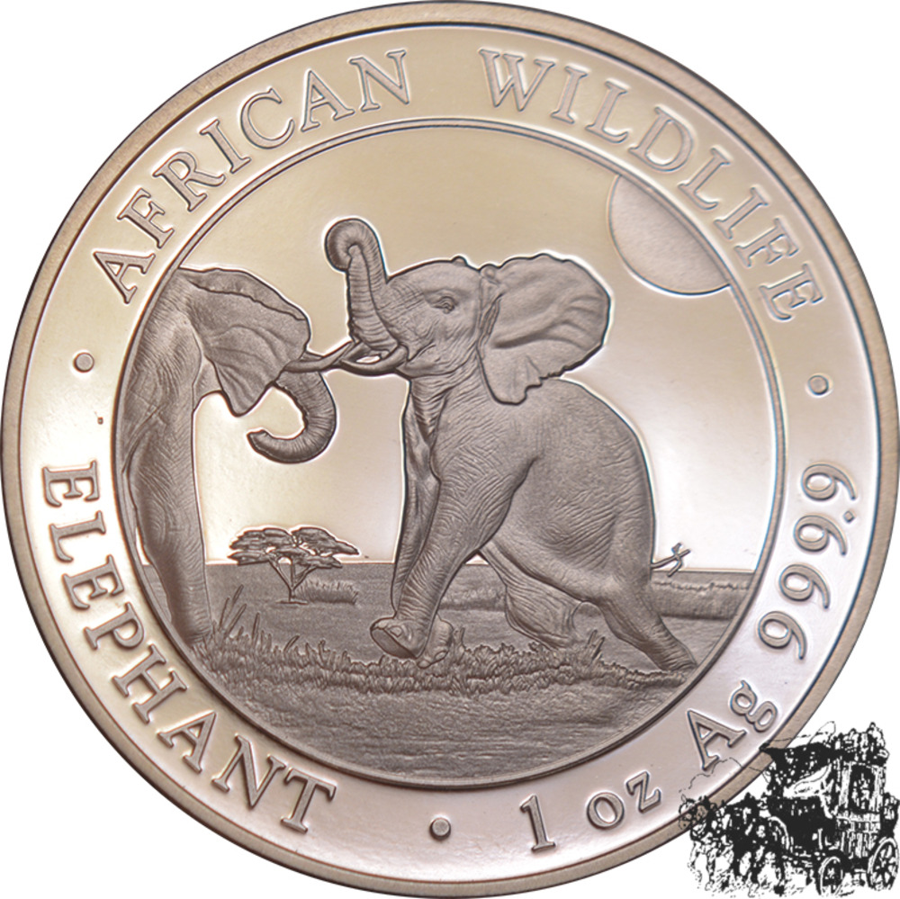 100 Shillings 2024 - Elefant - Somalia 