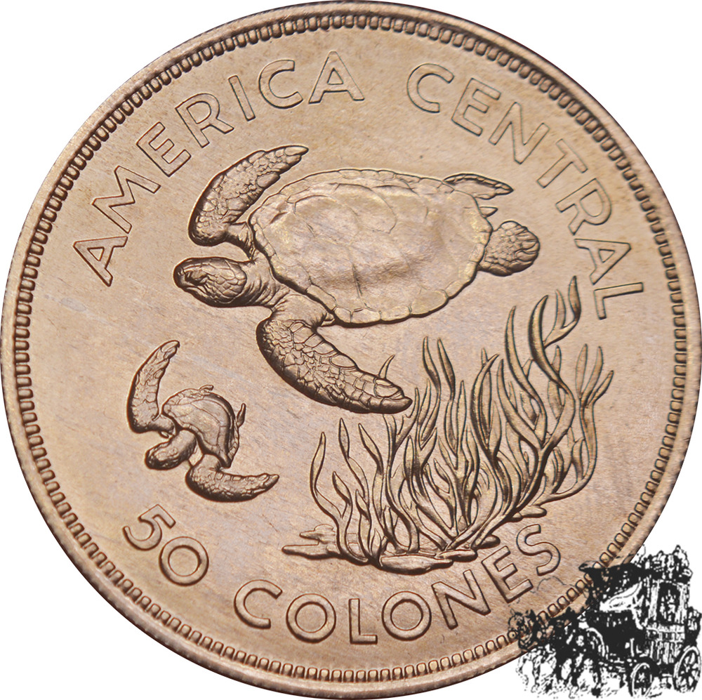 50 Colones 1974 - Schildkröte 50 Colones 1974 - Schildkröte