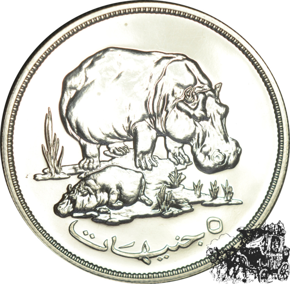 5 Pfund 1976 - Nilpferd 5 Pfund 1976 - Nilpferd