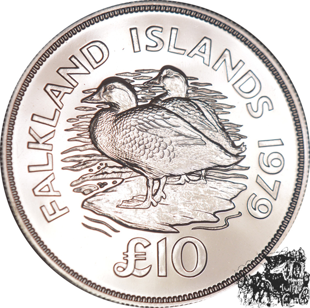 10 Pfund 1979 - Falklandinseln Dampfschiffenten