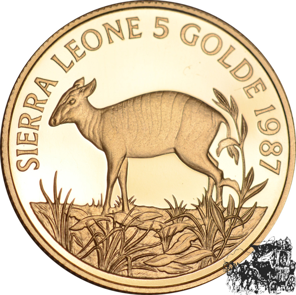 5 Golde 1987 - Duiker Zebra 5 Golde 1987 - Duiker Zebra