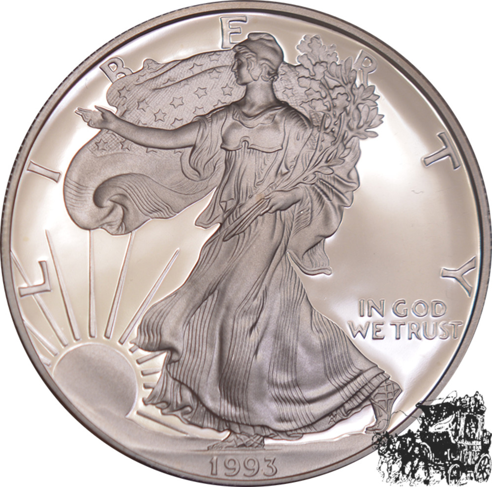 1 Dollar 1993 Eagle, USA - PP