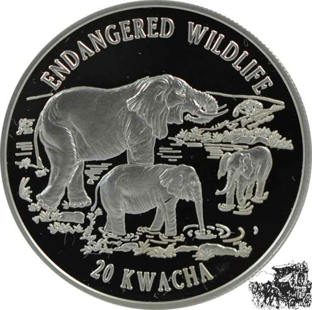 20 Kwacha 1996 - Elefanten 20 Kwacha 1996 - Elefanten
