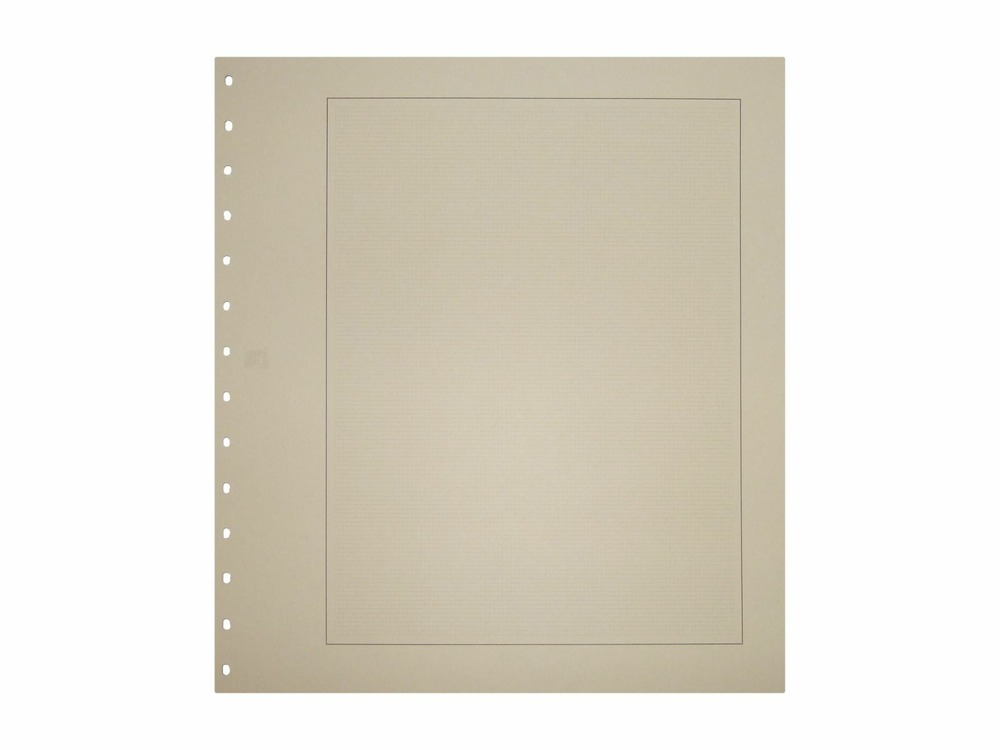 SAFE-Blankoblätter grau mit schwarzem Rand und zartgrauem Netzdruck - 10er Packung